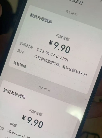 二次元男粉快速变现项目，私域卖虚拟产品，百分利润-讯领网创