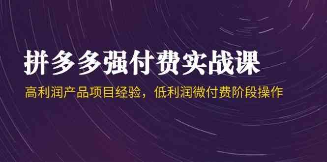 拼多多强付费实战课-44期，高利润产品项目经验，低利润微付费阶段操作-讯领网创