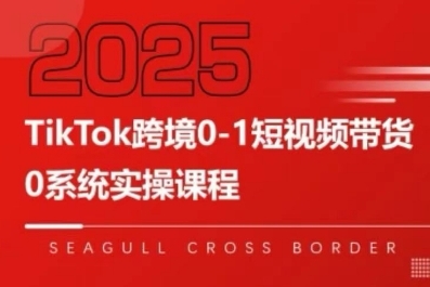 TikTok跨境0-1短视频带货，系统拆解TikTok跨境带货全链路，实现跨境可持续盈利-讯领网创