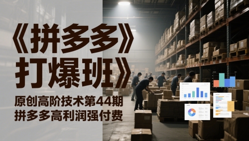 《拼多多打爆班》原创高阶技术第44期，拼多多高利润强付费-讯领网创