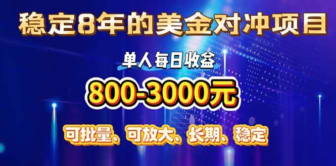 （15782期）稳定8年的美金对冲创业项目，单人每日收益800-3000，小众暴力项目-讯领网创
