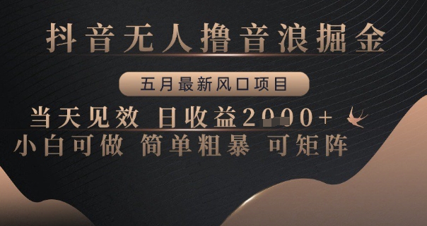抖音无人撸音浪掘金，五月最新风口项目，当天见效，日收益多张，小白可做简单粗暴可矩阵【揭秘】-讯领网创
