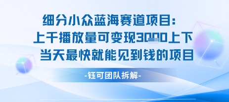 小众蓝海赛道项目：当天变现1k+适合新手操作 +适合长期玩-讯领网创