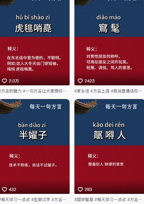 抖音最新涨粉玩法，图文方言暴力涨粉实操，126作品涨粉11W-讯领网创