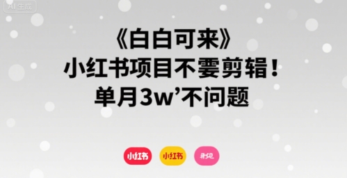 小白可来 小红书项目不需要剪辑 单月3w不是问题-讯领网创