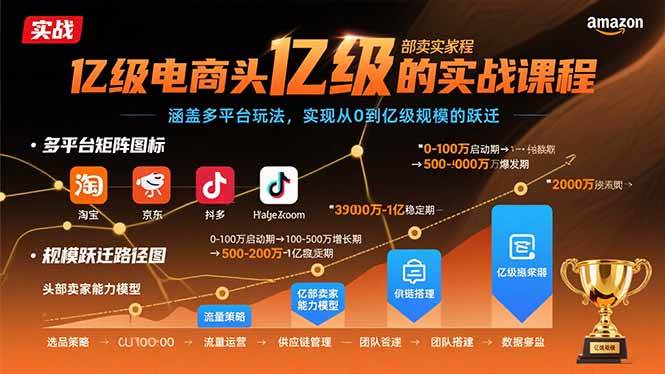 （15803期）亿级电商头部卖家的实战课程：涵盖多平台玩法，实现从0到亿级规模的跃迁-讯领网创