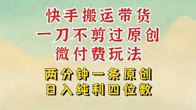 （15577期）快手黑科技搬运带货，一刀不剪过原创，微付费投流玩法，轻松日入四位数…-讯领网创