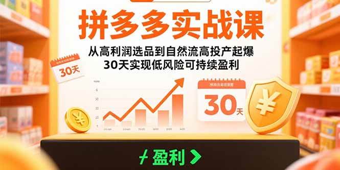 （15586期）拼多多实战课：从高利润选品到自然流高投产起爆 30天实现低风险可持续盈利-讯领网创