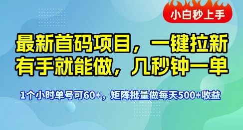 最新首码项目，一键拉新有手就能做，几秒钟一单，1个小时单号可60+，矩阵批量做每天5张【揭秘】-讯领网创