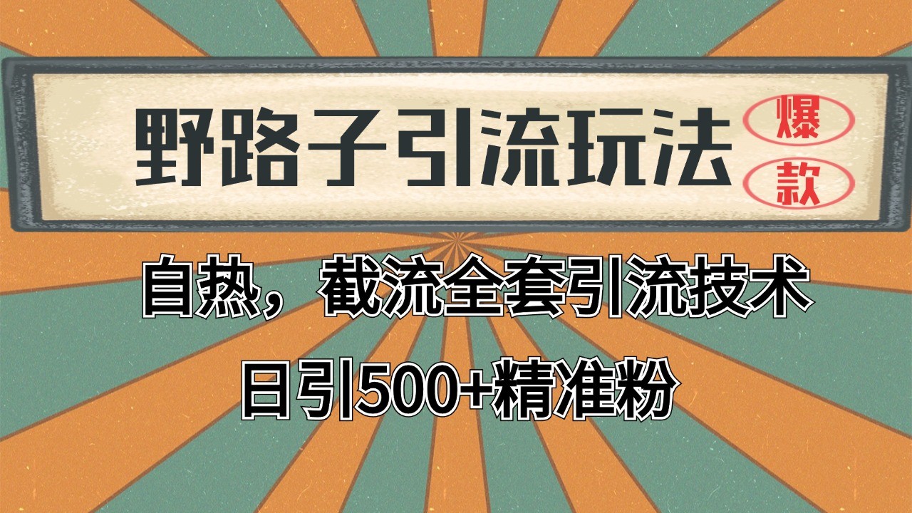 2024首发野路子引流玩法截流自热全平台打法，全自动引流【日引2000+精准客户】-讯领网创