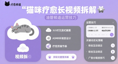 猫咪疗愈长视频拆解 &油管频道运营技巧-讯领网创