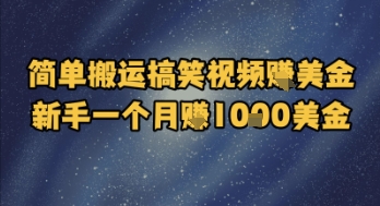 简单搬运搞笑视频挣美金，新手一个月入1k美金-讯领网创
