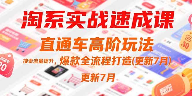 （15374期）淘系实战速成课，直通车高阶玩法，搜索流量提升，爆款全流程打造(更新7月)-寒山客