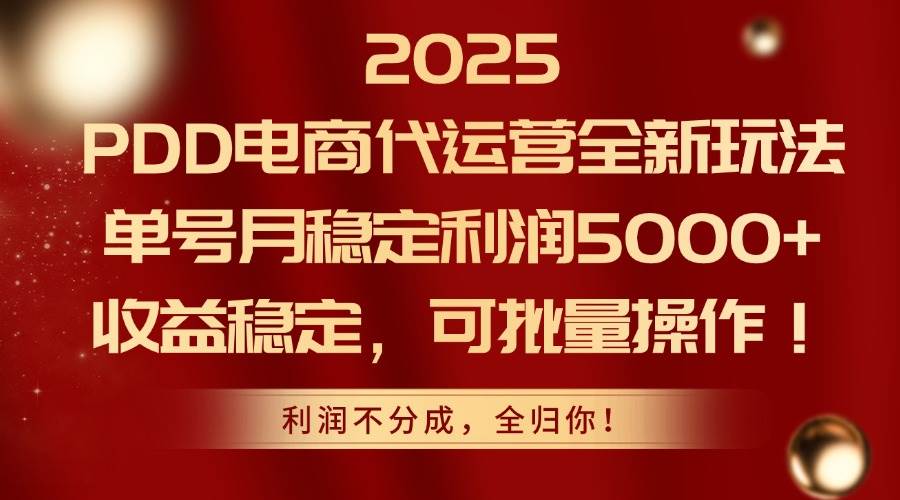 （14839期）2025PDD电商代运营全新玩法，单号月稳定利润5000+，收益稳定，可批量操作-讯领网创