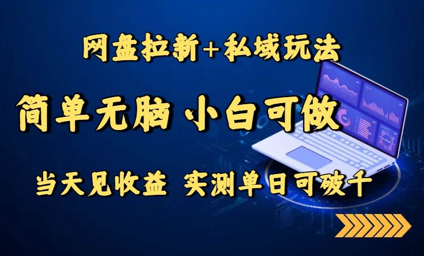 （15744期）网盘拉新+私域玩法，简单无脑，小白可做，当天见收益，实测单日可破千-讯领网创