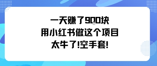 一天挣了9张用小红书做这个项目太牛了，空手套-讯领网创