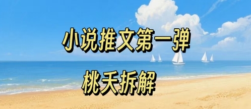 小说推文项目操作全流程第一弹，0粉就能做，门槛低非常适合新手-讯领网创