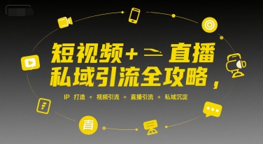 短视频+直播私域引流全攻略，IP打造 +视频引流 +直播引流 +私域沉淀-讯领网创