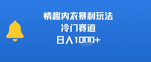 情趣内衣暴利玩法，冷门赛道，日入1k+-讯领网创