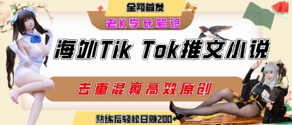 海外tiktok小说推文暴力项目，高停留率，高转化率，上手后一天搞顿饭钱不是问题-讯领网创