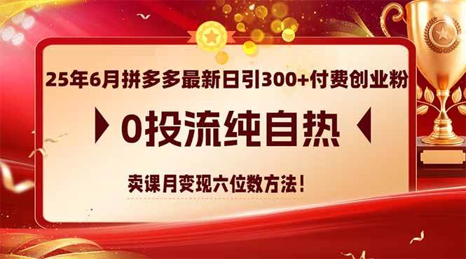 （14989期）25年6月拼多多最新日引300+付费创业粉，0投流纯自热 卖课月变现六位数方法-讯领网创