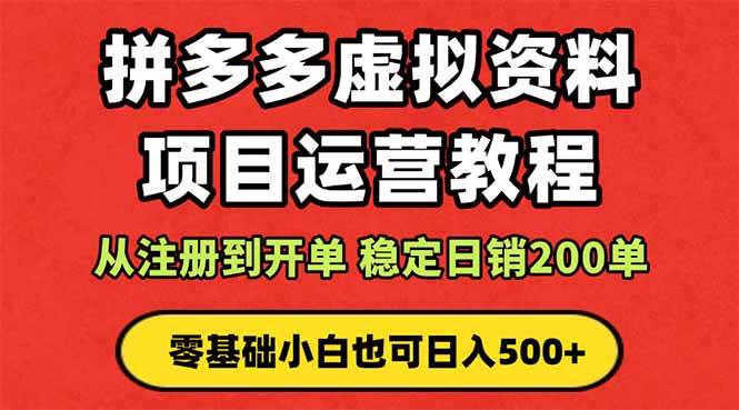 （16220期）拼多多开店运营课程： 蓝海变现玩法，轻松实现睡后收入 零基础小白也可…-讯领网创