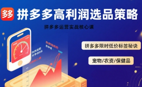 拼多多选品暴利技术实战课，拼多多高利润选品策略，拼多多限时低价标签秘诀-讯领网创