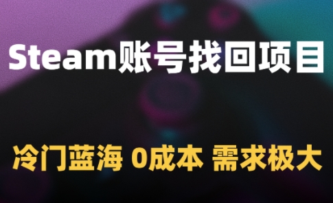 Steam账号找回项目，冷门蓝海，0成本，需求极大-讯领网创