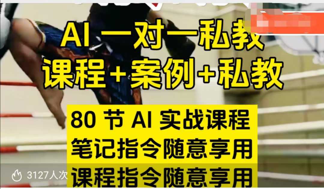 AI指令实战课，课程+案例，80节AI实战课程，笔记指令随意享用，课程指令随意享用（更新7月）-讯领网创