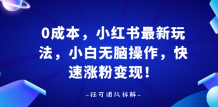 0成本，小红书最新玩法，小白无脑操作，快速涨粉变现-讯领网创