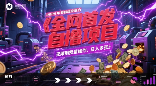 全网首发，2025年最新稳定暴力全自动自撸项目，无限制批量操作，日入多张【揭秘】-讯领网创