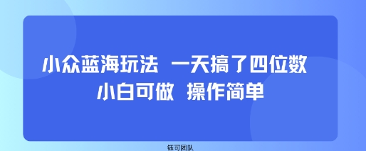 小众蓝海玩法 一天搞了四位数 小白可做 操作简单-讯领网创