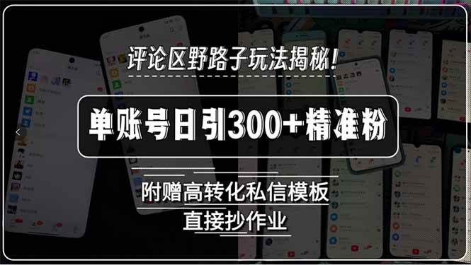 （15466期）评论区野路子玩法揭秘！单账号日引300+精准粉，附赠高转化私信模板，直…-寒山客