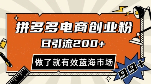 拼多多引流电商创业粉，日引200+，可矩阵放大，做了就有效【揭秘】-讯领网创