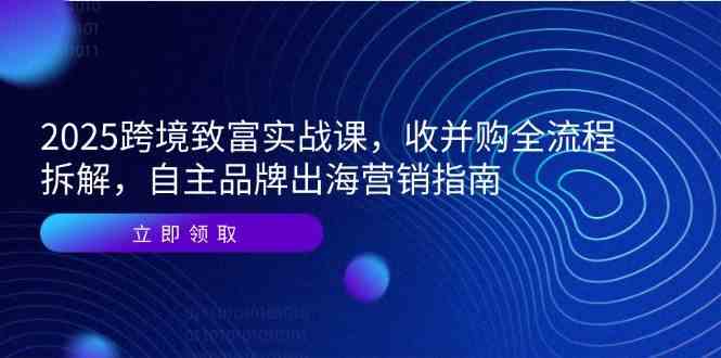 2025跨境致富实战课，收并购全流程拆解，自主品牌出海营销指南-讯领网创