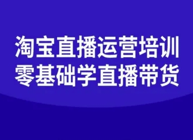 淘宝直播运营培训-零基础学会直播卖货-讯领网创