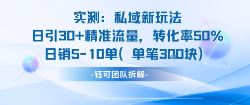 实测私域新玩法日引30加精准流量转化率50%日销5-10单每笔3张-讯领网创