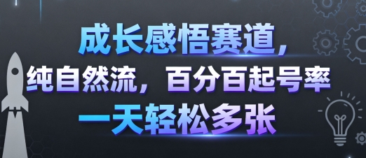 成长感悟赛道，纯自然流，百分百起号率 一天轻松多张-讯领网创