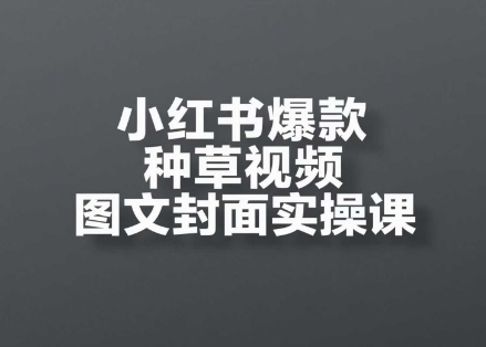 小红书爆款种草视频图文封面实操课，开店、选品、引流、变现全流程-讯领网创