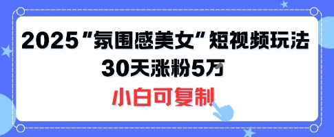 不露脸也能火！2025“氛围感美女”短视频玩法，30天涨粉5W小白可复制-讯领网创
