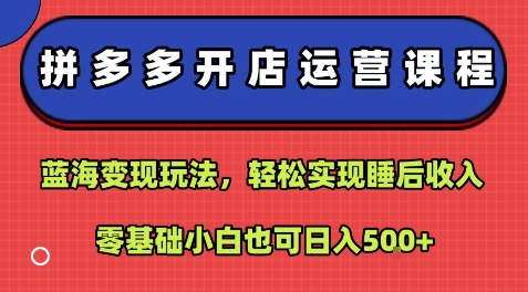 拼多多开店运营课程：蓝海变现玩法，轻松实现睡后收入，零基础小白也可日入5张-讯领网创