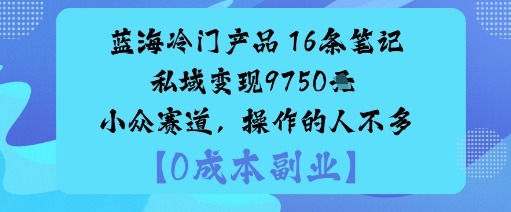 蓝海冷门产品：16条笔记私域变现9750米小众赛道，操作的人不多-讯领网创