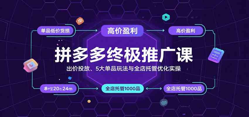 拼多多终极推广课：出价投放、5大单品玩法与全店托管优化实操-讯领网创