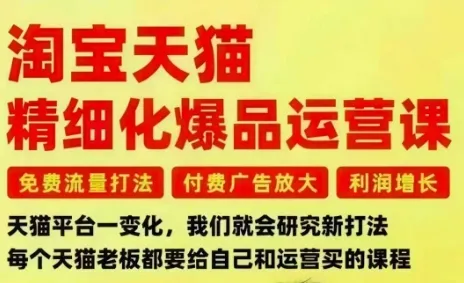 淘宝天猫精细化爆品运营课，免费流量打法-付费广告放大-利润增长-三大核心痛点，一次全部解决-讯领网创