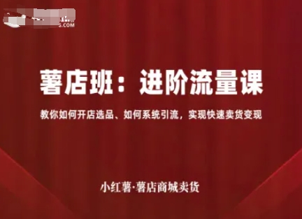 小红薯薯店商城卖货，进阶流量课，教你如何开店选品、如何系统引流，实现快速卖货变现-讯领网创