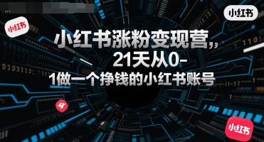 小红书涨粉变现营，21天从0-1做一个挣钱的小红书账号-讯领网创