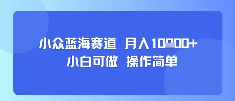 小众蓝海赛道，小白可做，操作简单，每天30分钟，月入1W+-讯领网创