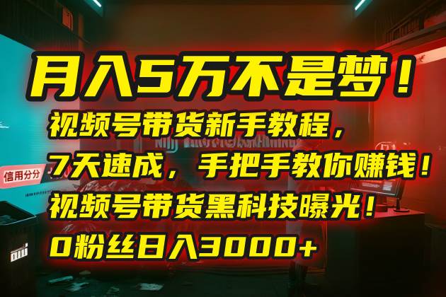 （15595期）月入5万不是梦！视频号带货新手教程，7天速成，手把手教你赚钱！视频号…-讯领网创