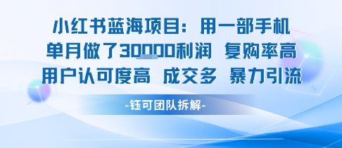 小红书蓝海项目，一部手机单月做了3W利润，小白也能月入过1W用户认可度高成交多-讯领网创