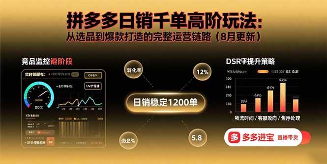 （15850期）拼多多日销千单高阶玩法：从选品到爆款打造的完整运营链路（8月更新）-讯领网创